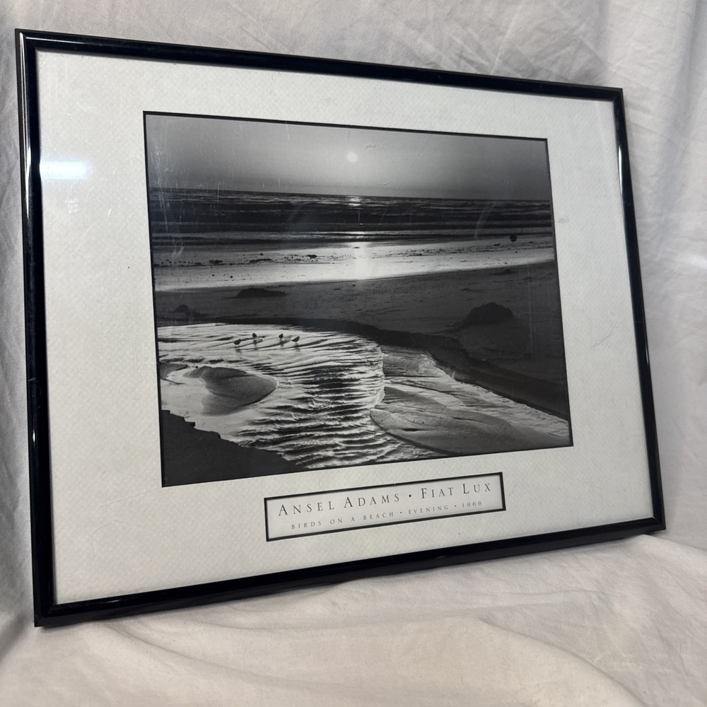 Ansel Adams Birds on a Beach Evening Framed Framed 1966 Photo 12x14 Wall Art VTG